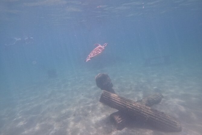 Puerto Rico Jet Snorkel with Turtles and Videos in San Juan - Photos and videos without carrying a camera