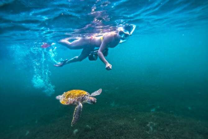 Puerto Rico Jet Snorkel with Turtles and Videos in San Juan - The safety briefing and gear fitting
