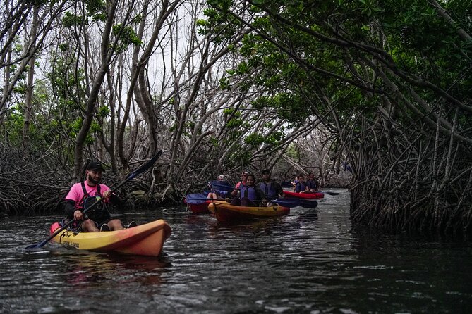 Puerto Rico Sunset Magic: Bio Bay Kayaking Tour from Fajardo - Why Laguna Grande is worth the effort