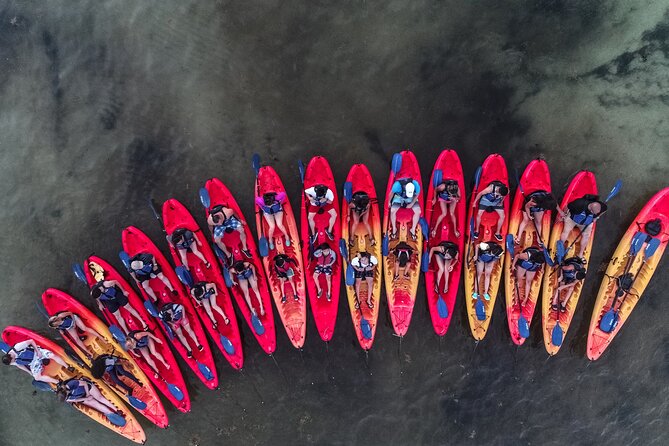 Puerto Rico Sunset Magic: Bio Bay Kayaking Tour from Fajardo - Crowds, kayaks, and the real level of effort