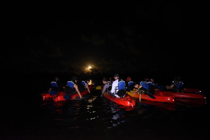 Puerto Rico Sunset Magic: Bio Bay Kayaking Tour from Fajardo - Price, group size, and what you receive for $66.90
