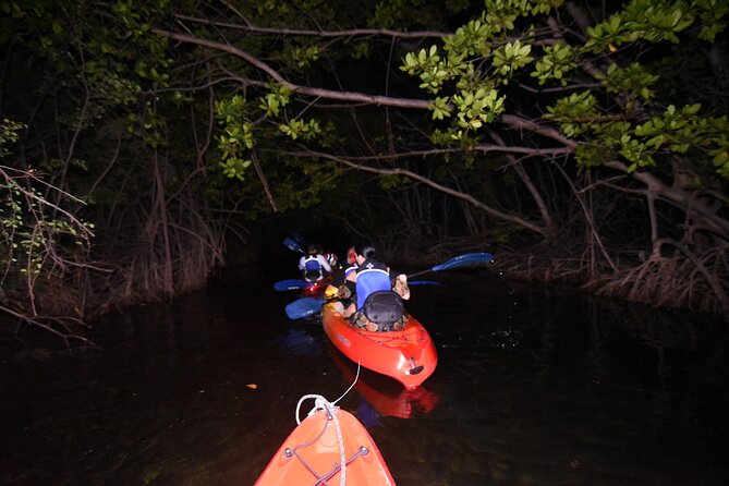 Puerto Rico Sunset Magic: Bio Bay Kayaking Tour from Fajardo - Important health and weight restrictions