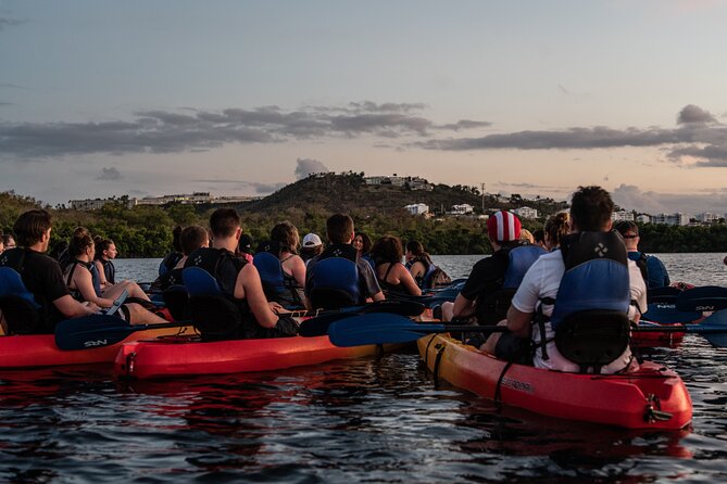Puerto Rico Sunset Magic: Bio Bay Kayaking Tour from Fajardo - What the two-hour route feels like