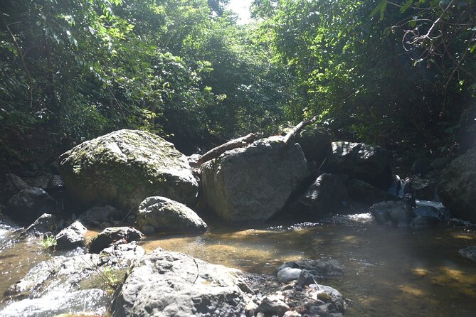 Puerto Rico Waterfall Hiking Tour: Discover Hidden Gems 2.0 - The Puerto Rican food stop