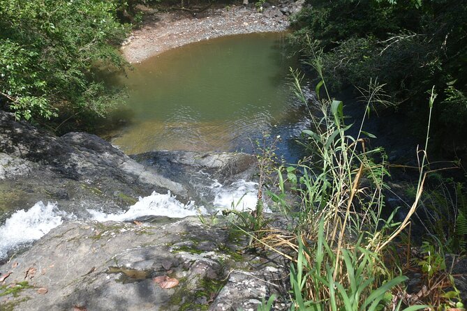 Puerto Rico Waterfall Hiking Tour: Discover Hidden Gems 2.0 - Who should book this adventure?
