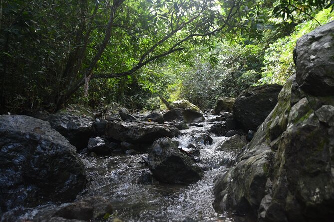 Puerto Rico Waterfall Hiking Tour: Discover Hidden Gems 2.0 - What the 40 to 60-minute trail demands