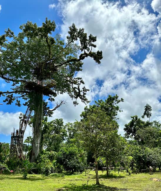 Punta Cana: 3-in-1 Adventure Haitises Park Waterfall Montaña - Los Haitises National Park by boat