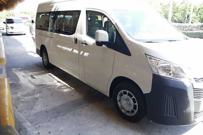 Punta Cana Airport to Punta Cana Hotels ( up to 25 km) - What happens after you land