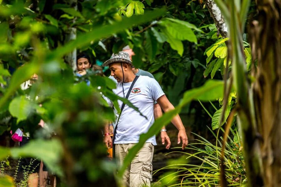 Punta Cana: Anamaya Mountains Walking Tour with Tasting - Walking through forest, farms, and local life