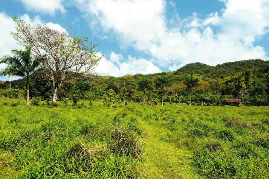 Punta Cana: Anamaya Mountains Walking Tour with Tasting - Farm-to-table tastings with fruit and coffee