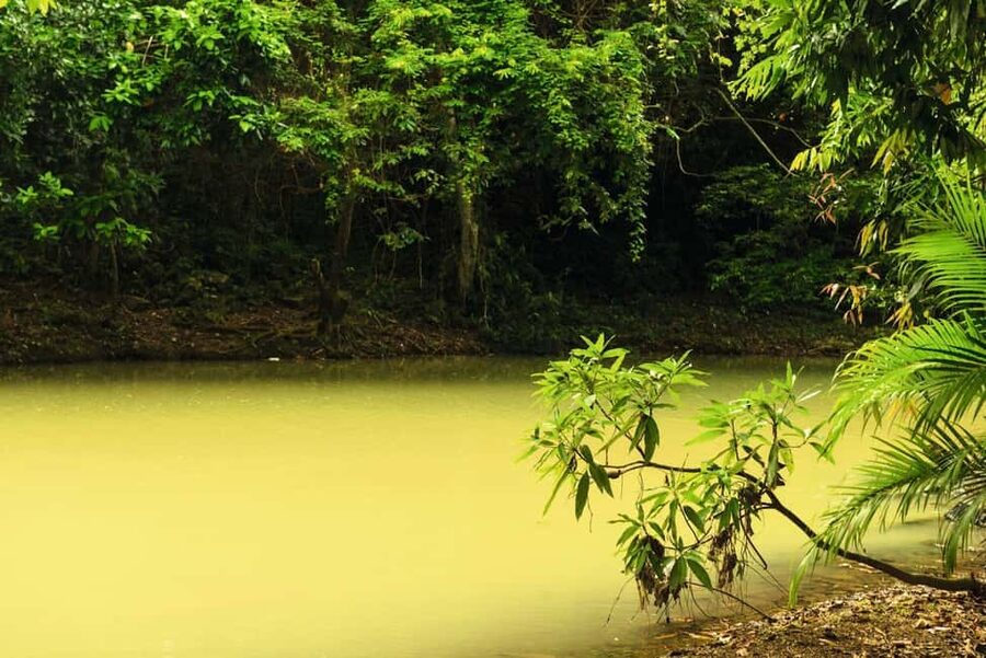Punta Cana: Anamaya Mountains Walking Tour with Tasting - Languages, packing, and practical comfort