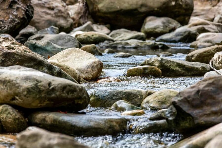Punta Cana: Anamaya Mountains Walking Tour with Tasting - Should you book the Anamuya Mountains tour?