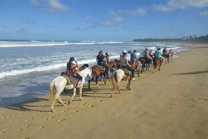 Punta Cana Beach Horseback Riding - Key points to know before you book