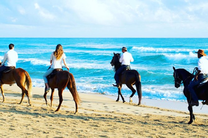 Punta Cana Beach Horseback Riding - Getting matched with a horse and learning the basics