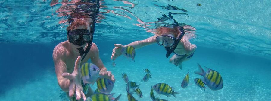 Punta Cana: Catamaran Family Tour - Who will enjoy this Punta Cana excursion