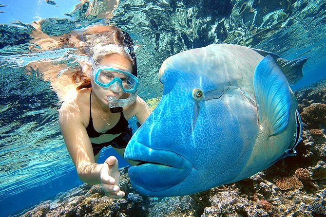 Punta Cana Combo Tour: Snorkeling, Catamaran Cruise & Parasailing - Key points before you book