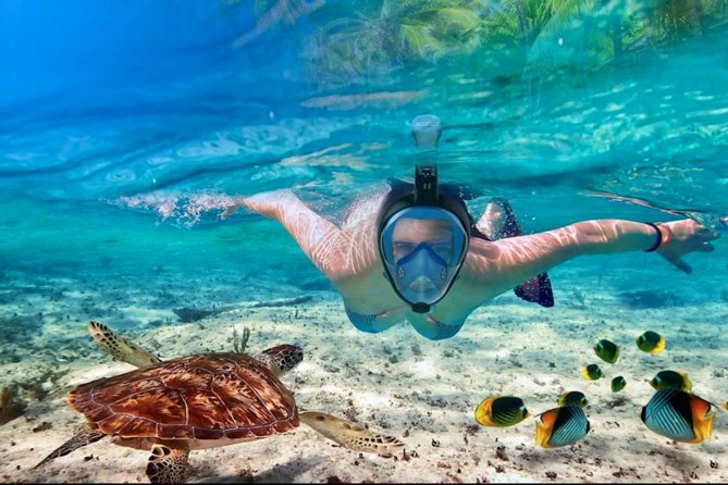 Punta Cana Combo Tour: Snorkeling, Catamaran Cruise & Parasailing - Should you book it?