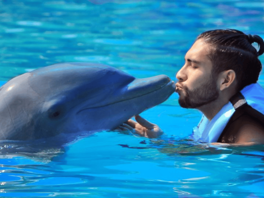 Punta Cana: Dolphin Explorer Park Entry, Swim, or Encounter - Is $140 a fair price?