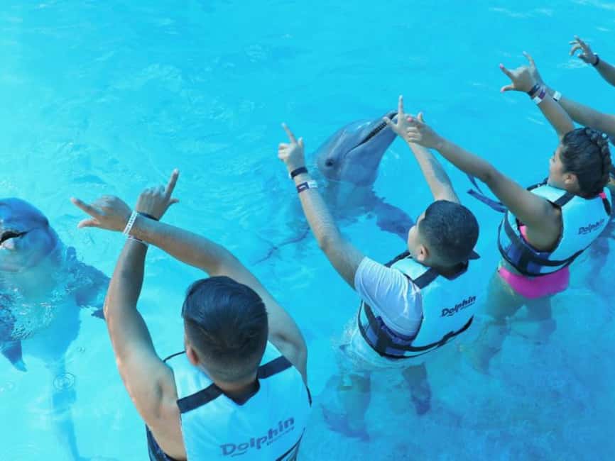 Punta Cana: Dolphin Explorer Park Entry, Swim, or Encounter - Choosing between the three programs