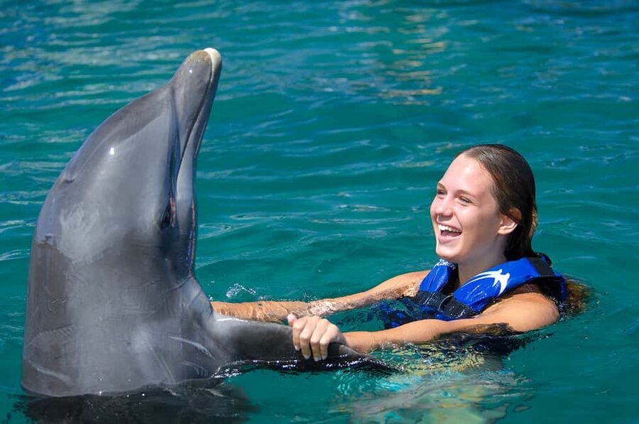 Punta Cana: Dolphin Explorer Swims and Interactions - Key points to know before you book