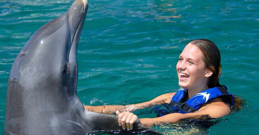 Punta Cana: Dolphin Explorer Swims and Interactions - My call: a strong activity if you accept the rules