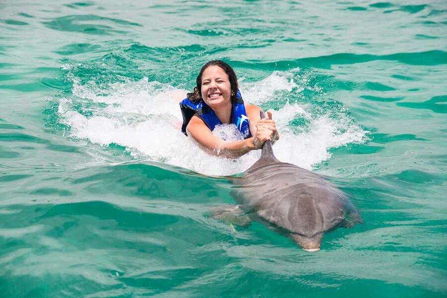 Punta Cana: Dolphin Explorer Swims and Interactions - Who should book this experience?