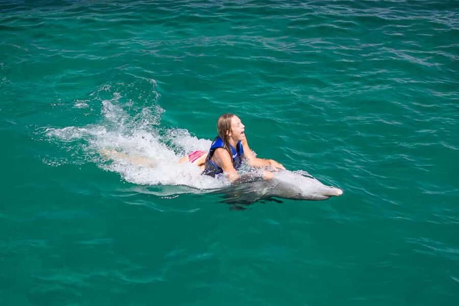Punta Cana: Dolphin Explorer Swims and Interactions - Timing, language, and flexibility