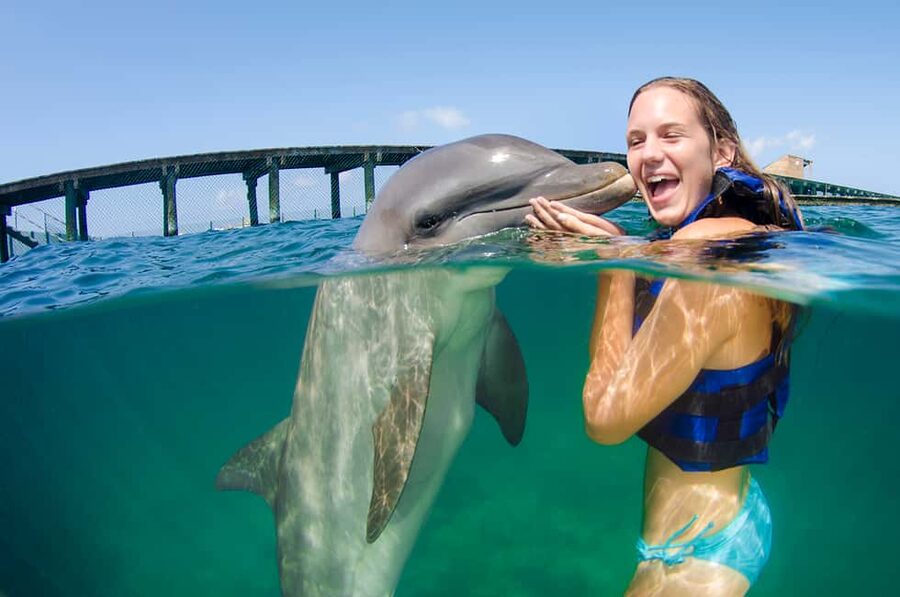 Punta Cana: Dolphin Explorer Swims and Interactions - What the session feels like from pickup to water time