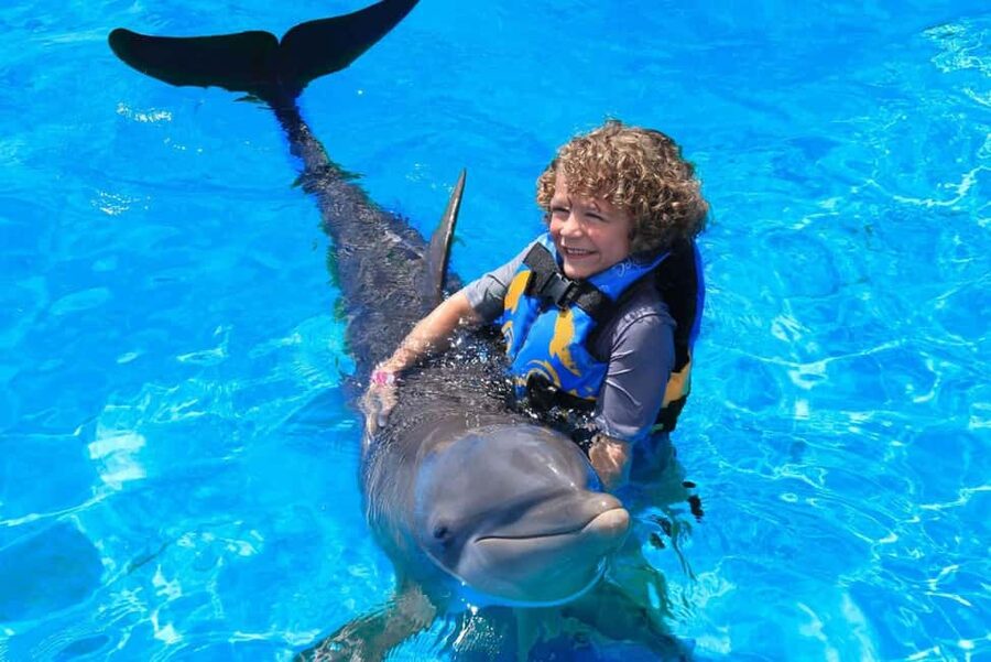 Punta Cana: Dolphin Interaction Experience & Hotel Transfers - What the four-hour Punta Cana outing is really like