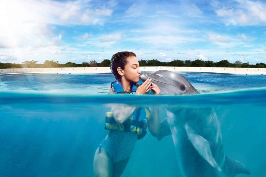 Punta Cana: Dolphin Interaction Experience & Hotel Transfers - Meeting the dolphins from the platform