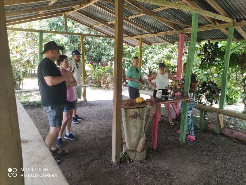 Punta Cana: Dominican Republic Culture Tour - Guides, group size, and the human factor