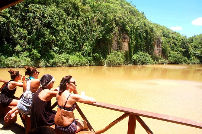 Punta Cana: Eco Jungle Tour - Learning about local crops before the river ride