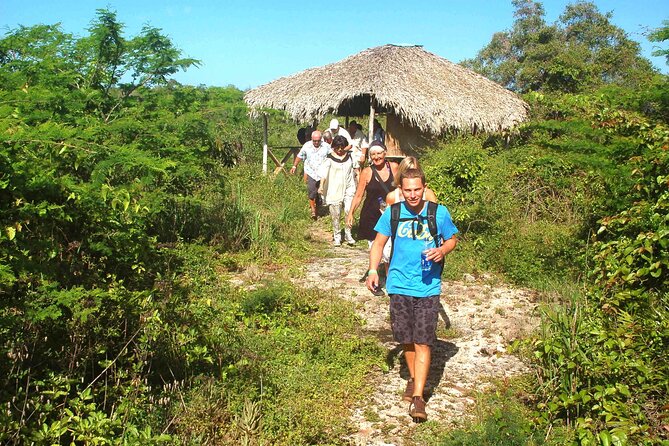 Punta Cana: Eco Jungle Tour - Swimming in the clear water of Cueva de Chicho
