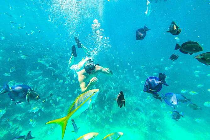 Punta Cana Exclusive Adults-Only Snorkel with Food and Drinks - Key points to know before booking