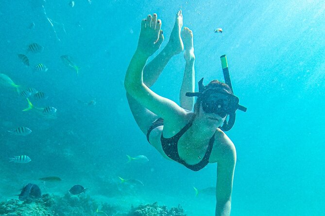 Punta Cana Exclusive Adults-Only Snorkel with Food and Drinks - A four-hour cruise with more than one purpose