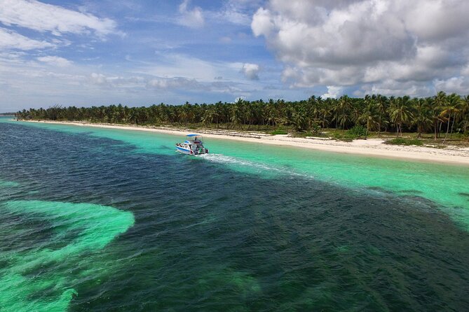 Punta Cana Exclusive Adults-Only Snorkel with Food and Drinks - The Cabeza de Toro coral nursery