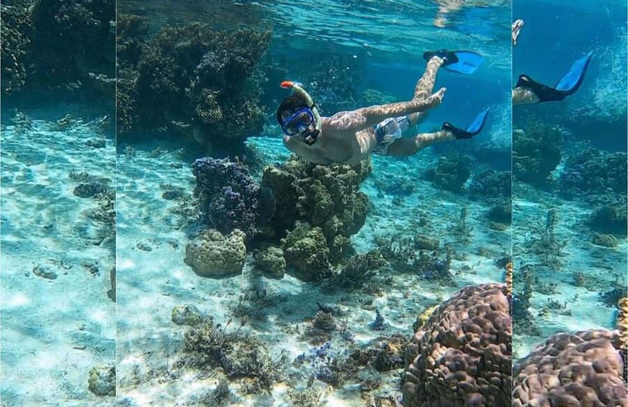 Punta Cana: Full-day Snorkelling Tour in Catalina Island - Leaving La Romana by boat or catamaran