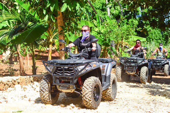 Punta Cana Half Day 4x4 ATV Adventure - Tropical paths, palms, and plenty of dust