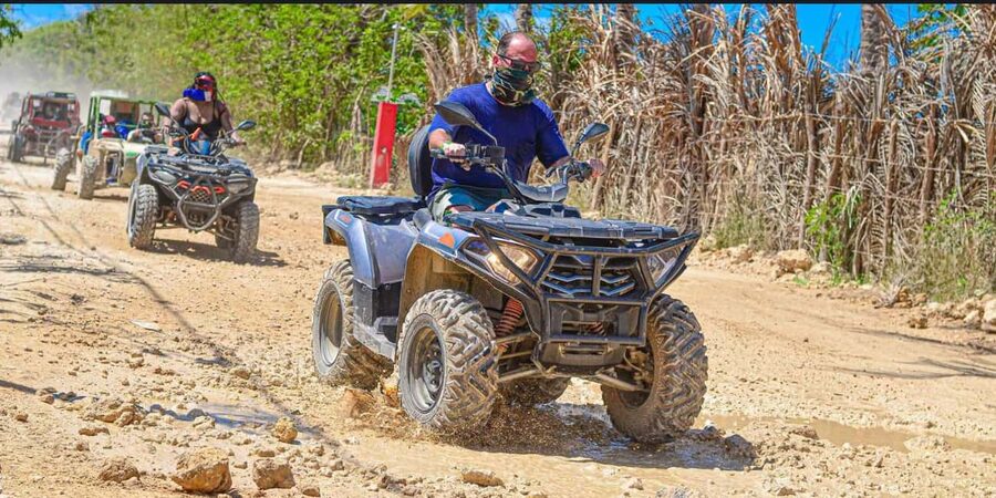 Punta Cana: Half-Day Buggy Tour with PickUp & Macao Beach - Private trails, cattle, and countryside views