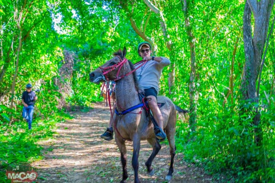 Punta Cana Horseback riding & Sunset + beach + free pick-up - The 45-minute trip to Macao