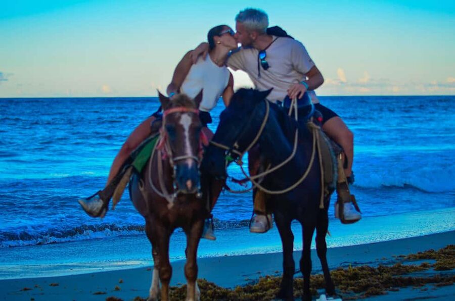 Punta Cana: Horseback Riding Tour with Sunset at Macao Beach - The main drawbacks to weigh