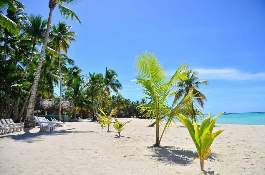Punta cana: Island Escape to Saona • catamaran & Beach lunch - The long road from Punta Cana to Bayahíbe