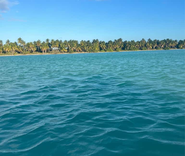 Punta cana: Island Escape to Saona • catamaran & Beach lunch - Who should book this Saona excursion?