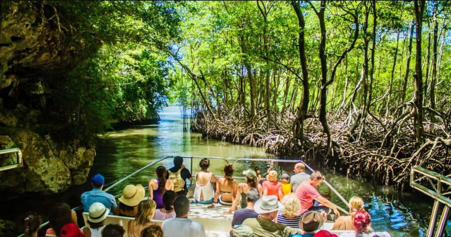 Punta Cana: Los Haitises National Park Full-Day Tour - The early road trip from Punta Cana
