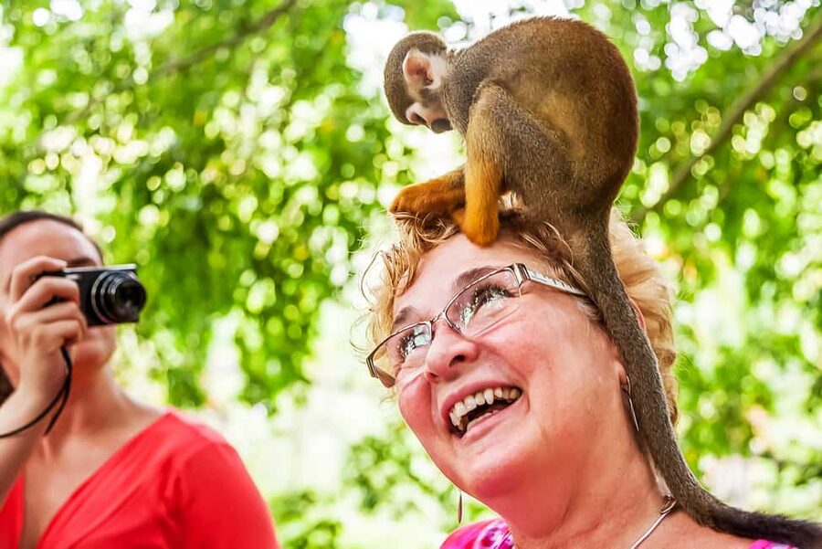 Punta Cana: Monkey Land Half-Day Safari and Plantation - Key points to know before booking