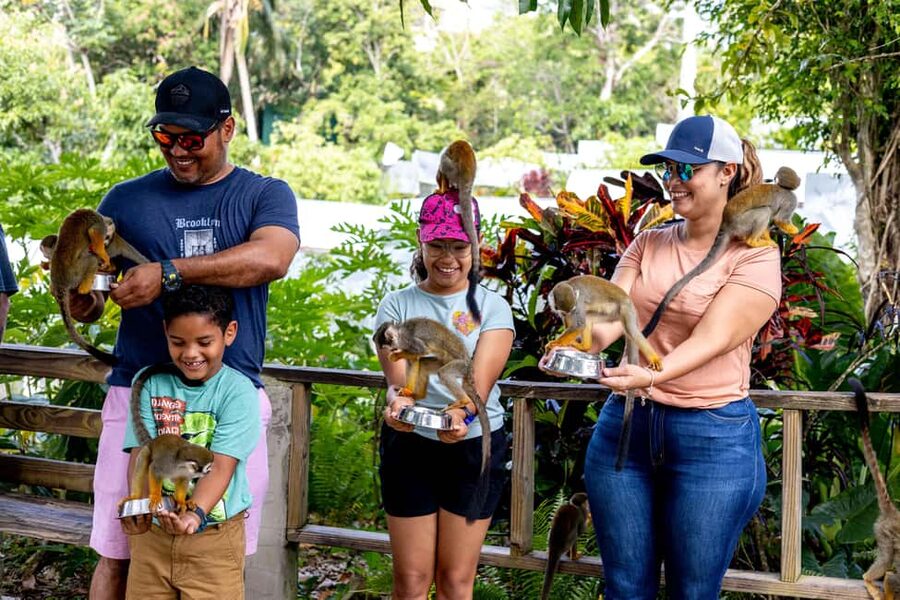 Punta Cana: Monkey Land Half-Day Safari and Plantation - The five-hour plan from Punta Cana
