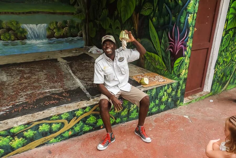Punta Cana: Monkey Land Half-Day Safari and Plantation - Should you book this Punta Cana monkey tour?