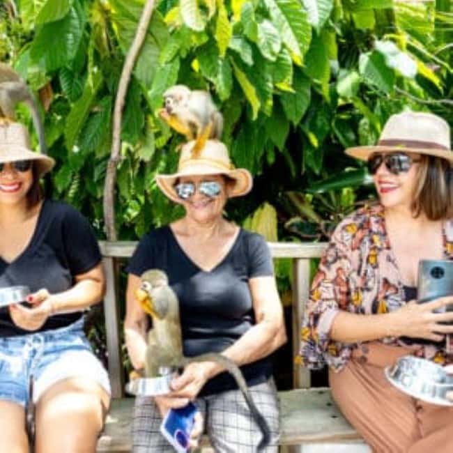 Punta Cana: Monkey Sanctuary Half-Day Tour - Key points to know before you go