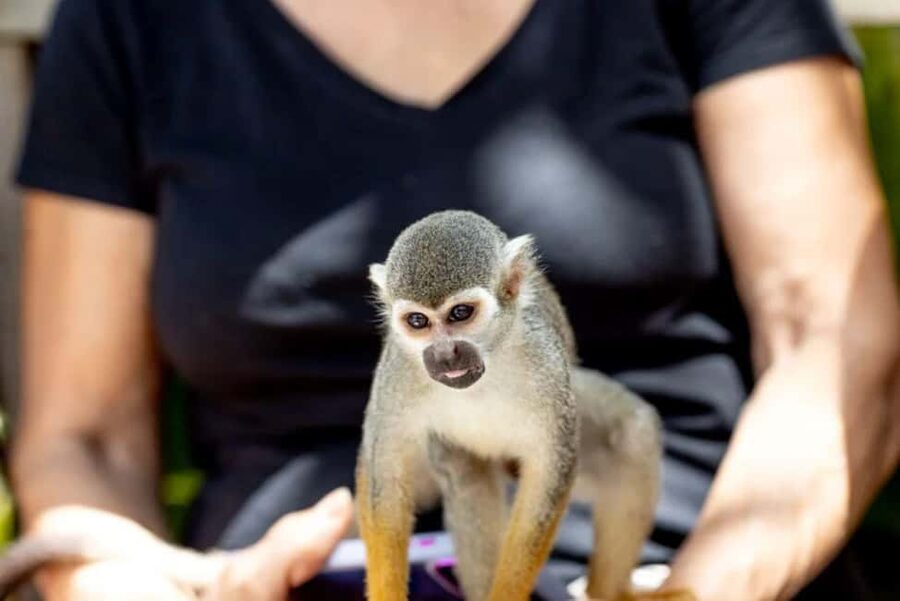Punta Cana: Monkey Sanctuary Half-Day Tour - Mountain views around the Bonao area