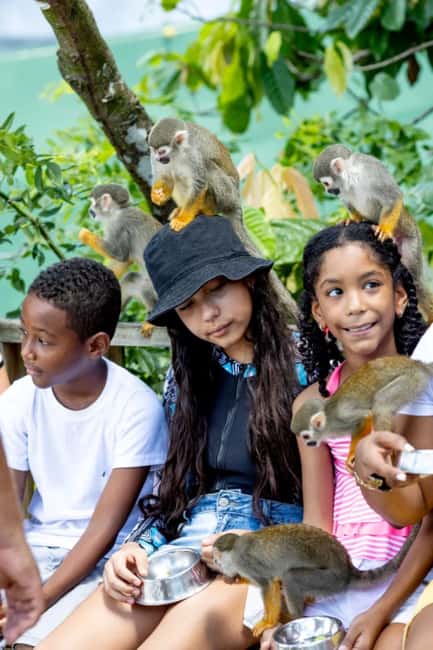 Punta Cana: Monkey Sanctuary Half-Day Tour - The ride from Punta Cana to Bonao